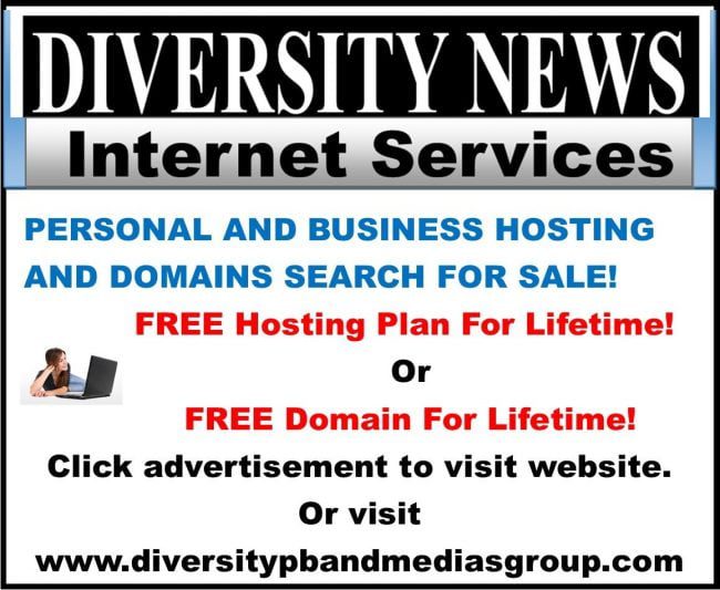 Diversity News Internet Services - Hosting Services and Domains Names Advertisement