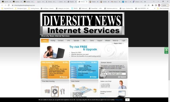 Diversity News Internet